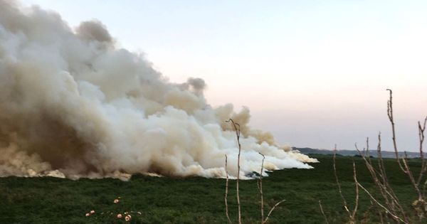 ಬೆಂಗಳೂರಲ್ಲಿ  ಅಕ್ರಮವಾಗಿ ನೆಲೆಸಿದ್ದ ಬಾಂಗ್ಲಾ ವಲಸಿಗರ  ಶೆಡ್‌ಗೆ ಬೆಂ*ಕಿ
