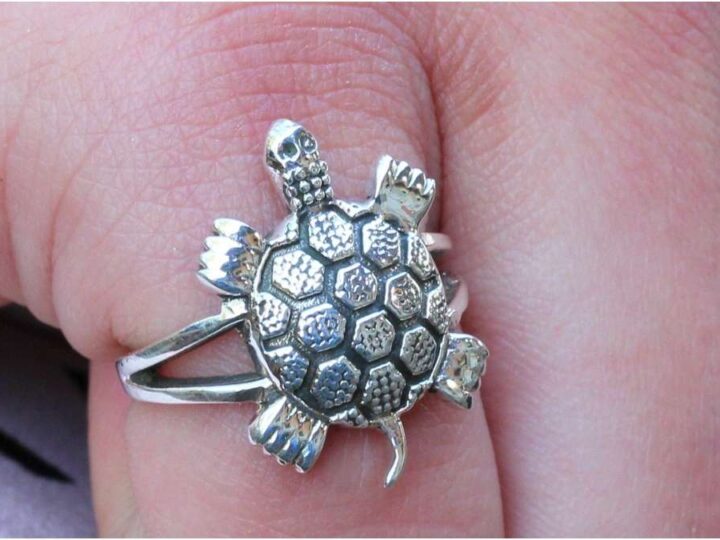 ಆಮೆ ಉಂಗುರ ಹಾಕುತ್ತೀರಾ? – ಈ ನಿಯಮ ಕಡ್ಡಾಯವಾಗಿ ಪಾಲಿಸಿ