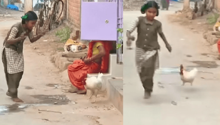 ನನ್ನ ಮುಂದೆ ನಿನ್ನ ಆಟ ನಡೆಯಲ್ಲ.. – ತನ್ನ ಮುಂದೆ ಕುಣಿದ ಬಾಲಕಿಯನ್ನು ಅಟ್ಟಾಡಿಸಿಕೊಂಡು ಹೋದ ಹುಂಜ