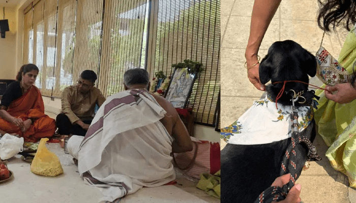 ಬೆಂಗಳೂರಿನಲ್ಲಿ ಬೀದಿ ನಾಯಿಗಳ ಹಾವಳಿ! – ಶ್ವಾನಗಳ ಕಾಟಕ್ಕೆ ಬೇಸತ್ತು ದೇವರ ಮೊರೆ ಹೋದ ಅಪಾರ್ಟ್ಮೆಂಟ್ ನಿವಾಸಿಗಳು!   