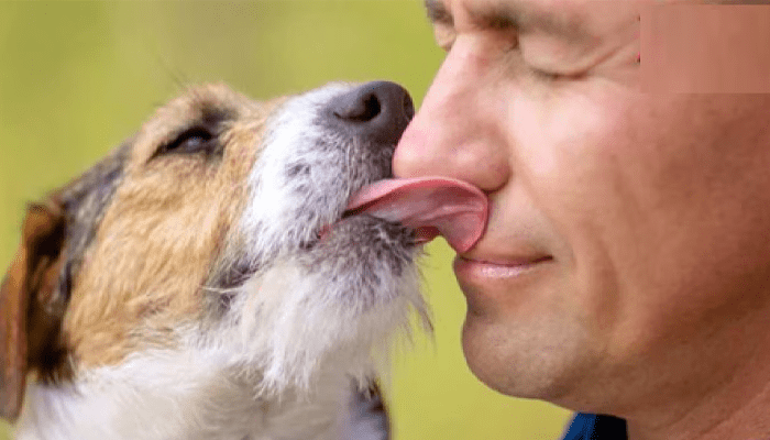 ನೀವು ಶ್ವಾನ ಪ್ರಿಯರಾಗಿದ್ರೆ ಈ ವಿಚಾರ ತಿಳಿದುಕೊಳ್ಳಲೇ ಬೇಕು! – ನಾಯಿ ಕಚ್ಚುವುದು ಮಾತ್ರವಲ್ಲ, ನೆಕ್ಕುವುದು ಕೂಡ ಡೇಂಜರ್!