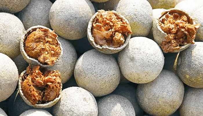 ಬೇಸಿಗೆಗಾಲದಲ್ಲಿ ಈ ಹಣ್ಣು ತಿಂದ್ರೆ ಎಷ್ಟೆಲ್ಲಾ ಆರೋಗ್ಯ ಪ್ರಯೋಜನ! – ಸೂಪರ್‌ ಫ್ರೂಟ್ಸ್‌ ಬಗ್ಗೆ ನಿಮಗೆ ಗೊತ್ತಾ?