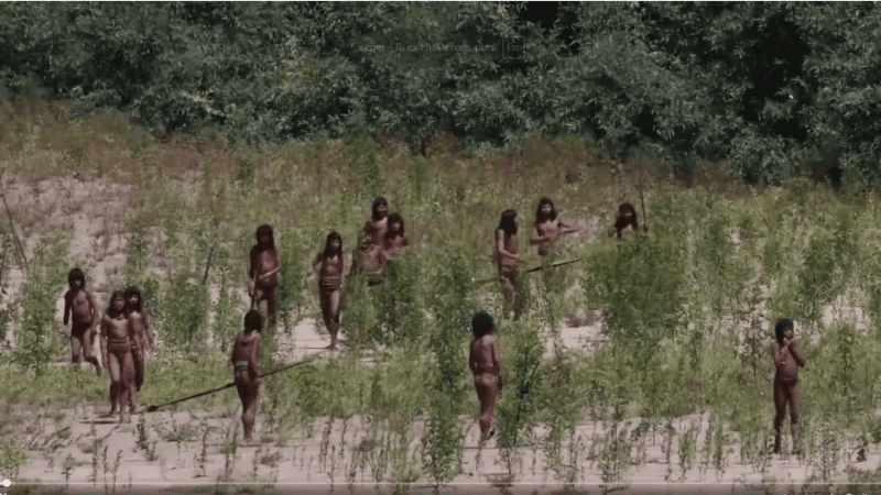 ಅಮೆಜಾನ್ ಕಾಡಿನಲ್ಲಿ ಇದ್ದಾರೆ ಬುಡಕಟ್ಟು ಜನ – ಹೊರ ಜಗತ್ತಿನ ಬಗ್ಗೆ ಇವರಿಗೆ ಭಯ ಯಾಕೆ?