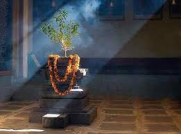 ತುಳಸಿ ಕಟ್ಟೆಗೆ ಎಷ್ಟು ಪ್ರದಕ್ಷಿಣೆ ಹಾಕಬೇಕು ಗೊತ್ತಾ – ಈ ರಹಸ್ಯವನ್ನ ತಿಳಿಯಿರಿ