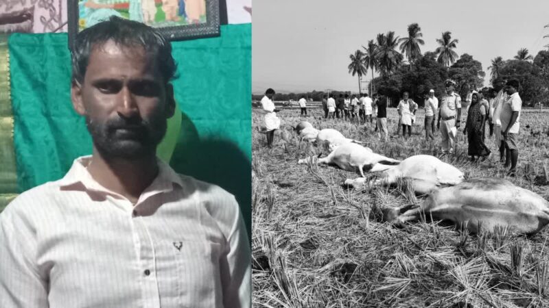 ರಾಜ್ಯದಲ್ಲಿ ಅಕಾಲಿಕ ಮಳೆ ಎಫೆಕ್ಟ್ – ಗಂಗಾವತಿಯಲ್ಲಿ ಸಿಡಿಲು ಬಡಿದು ರೈತ ಸಾವು
