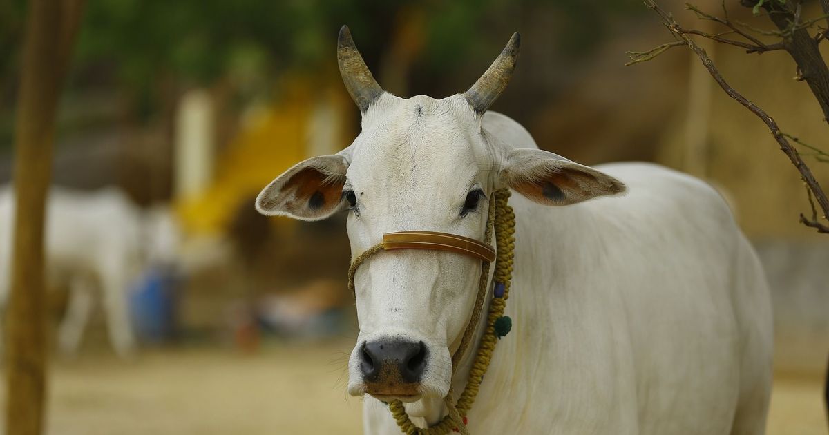 ಹಿಂದೂಗಳು ಇದೊಂದು ದಾನ ಮಾಡಿದ್ರೆ ಸಾಕು –  ಮೋಕ್ಷದ ಕಾಲದಲ್ಲಿ ಸಿಗುತ್ತೆ ಪುಣ್ಯ