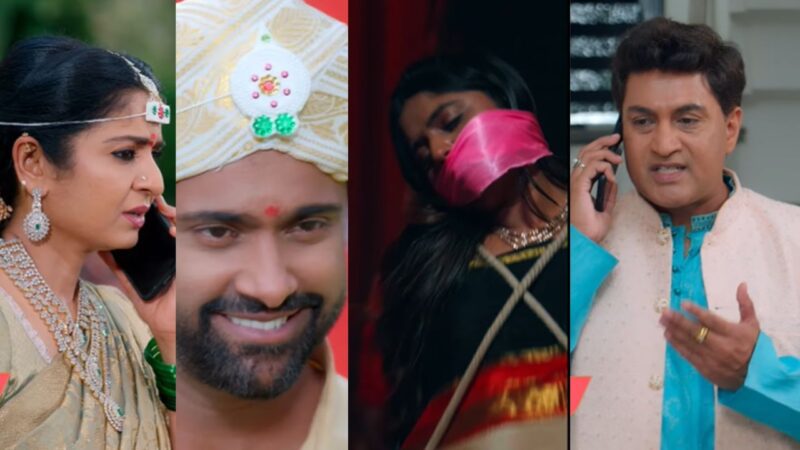 ತಾಂಡವ್ ತಂತ್ರಕ್ಕೆ ಭಾಗ್ಯ ತಿರುಗೇಟು – ಶ್ರೇಷ್ಠಾ ಗರ್ಭಿಣಿ ಗುಟ್ಟು ಎಲ್ಲರೆದುರಲ್ಲೇ ರಟ್ಟು