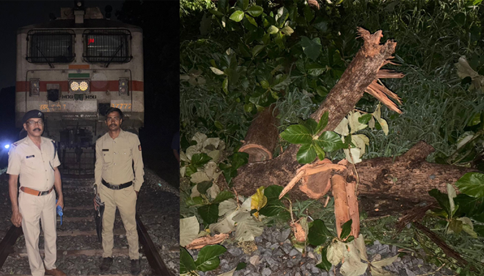 ಭಾರೀ ಮಳೆಗೆ ರೈಲ್ವೆ ಹಳಿಗೆ ಬಿದ್ದ – ಮೈಸೂರು-ಶಿವಮೊಗ್ಗ, ಶಿವಮೊಗ್ಗ-ತಾಳಗುಪ್ಪ ರೈಲು ಸಂಚಾರದಲ್ಲಿ ವ್ಯತ್ಯಯ