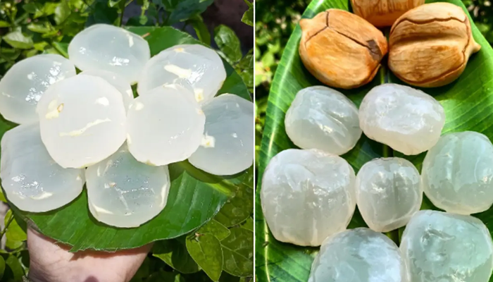 ಬೇಸಿಗೆಗಾಲದಲ್ಲಿ ಐಸ್‌ ಆಪಲ್‌ ತಿನ್ನೋದು ಬೆಸ್ಟ್!‌ – ಈ ಸೂಪರ್‌ ಫುಡ್‌ನಿಂದ ಎಷ್ಟೊಂದು ಆರೋಗ್ಯ ಲಾಭ!