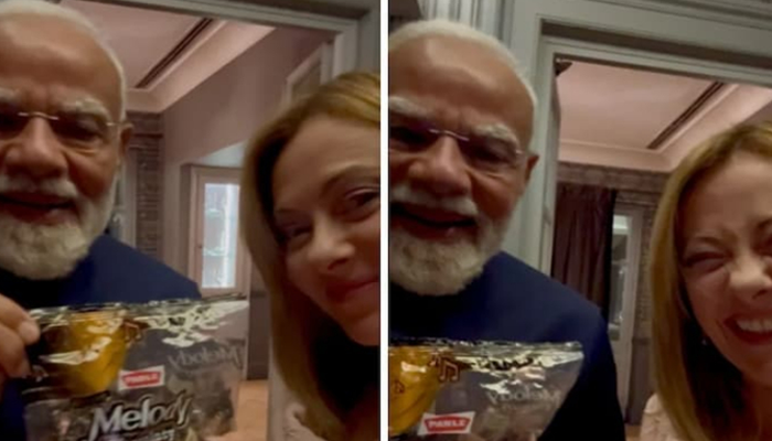 ಮೆಲೋನಿಗೆ ಪ್ರಧಾನಿ ಮೋದಿ ಮೆಲೋಡಿ ಗಿಫ್ಟ್!‌ – ಭಾರತದ ಸ್ಪೆಷಲ್ ಉಡುಗೊರೆಗೆ ಇಟಲಿ ಪ್ರಧಾನಿ ಫುಲ್ ಫಿದಾ!