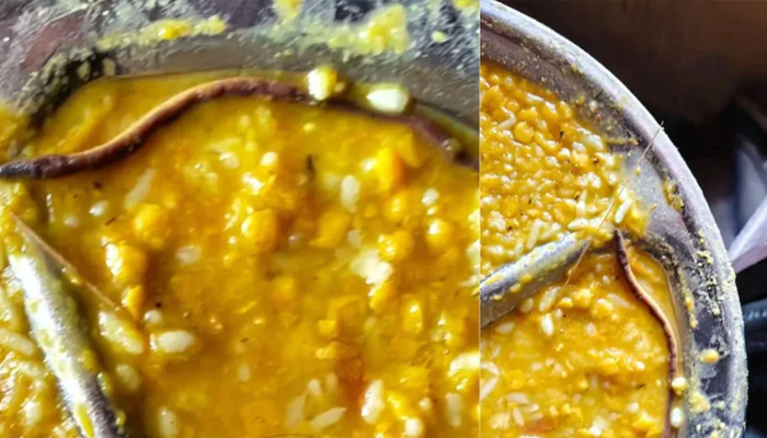 ಮಧ್ಯಾಹ್ನದ ಬಿಸಿಯೂಟದಲ್ಲಿ ಹಾವಿನ ಮರಿ ಪತ್ತೆ! – ಊಟ ಸೇವಿಸಿದ ನೂರಾರು ಮಕ್ಕಳು ಅಸ್ವಸ್ಥ!