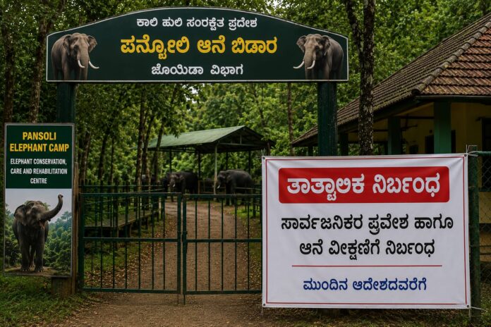 ದುಬಾರೆ ದುರಂತ ಎಫೆಕ್ಟ್ – ಪನ್ಸೋಲಿ, ಸಕ್ರೆಬೈಲ್ ಆನೆ ಬಿಡಾರಕ್ಕೆ ನೋ ಎಂಟ್ರಿ