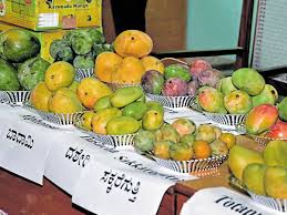ಬೆಂಗಳೂರಿನ 8 ಕಡೆ ಮಾವು ಮತ್ತು ಹಲಸು ಮೇಳ – ನಮ್ಮ ಮೆಟ್ರೋ ನಿಲ್ದಾಣದಲ್ಲೂ ಮಾವು ಮೇಳ ಆಯೋಜನೆ
