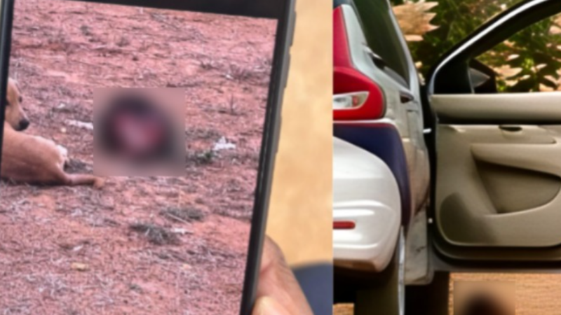 ಕ್ರಿಕೆಟ್ ಗ್ರೌಂಡ್‌ನಲ್ಲಿ ತಲೆ ಕ*ತ್ತರಿಸಿ ಚೆಂಡಾಡಿದ ಪಾಪಿಗಳು – ಬೆಂಗಳೂರಿನಲ್ಲಿ ಡೆಡ್ಲಿ ಮ*ರ್ಡರ್