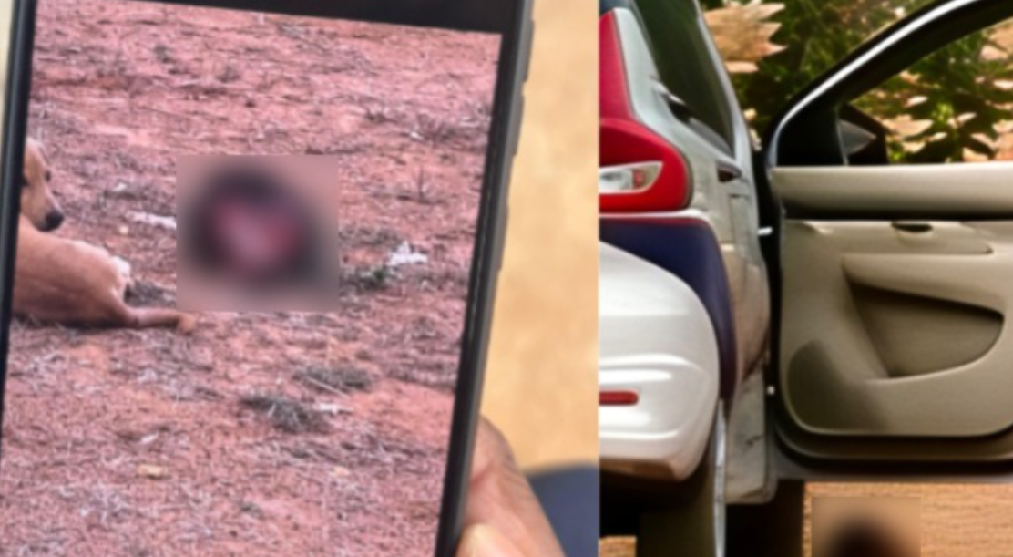 ಕ್ರಿಕೆಟ್ ಗ್ರೌಂಡ್‌ನಲ್ಲಿ ತಲೆ ಕ*ತ್ತರಿಸಿ ಚೆಂಡಾಡಿದ ಪಾಪಿಗಳು – ಬೆಂಗಳೂರಿನಲ್ಲಿ ಡೆಡ್ಲಿ ಮ*ರ್ಡರ್