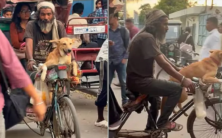 ಸೈಕಲ್ ರಿಕ್ಷಾ ಚಾಲಕನ ಜೊತೆ ಬೀದಿನಾಯಿ ಫ್ರೆಂಡ್‌ಶಿಪ್!‌ – ಸೋಶಿಯಲ್‌ ಮೀಡಿಯಾದಲ್ಲಿ ಟ್ರೆಂಡ್ ಆಯ್ತು ಕ್ಯೂಟ್‌ ವಿಡಿಯೋ!