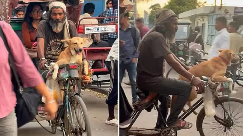 ಸೈಕಲ್ ರಿಕ್ಷಾ ಚಾಲಕನ ಜೊತೆ ಬೀದಿನಾಯಿ ಫ್ರೆಂಡ್ಶಿಪ್! – ಸೋಶಿಯಲ್ ಮೀಡಿಯಾದಲ್ಲಿ ಟ್ರೆಂಡ್ ಆಯ್ತು ಕ್ಯೂಟ್ ವಿಡಿಯೋ!
