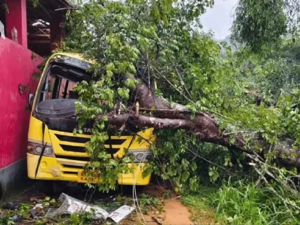 ಬಂಟ್ವಾಳದಲ್ಲಿ ಶಾಲಾ ಬಸ್‌ ಮೇಲೆ ಉರುಳಿದ ಮರ – ಉಸಿರು ನಿಲ್ಲಿಸಿದ ಪುಟ್ಟ ಬಾಲಕಿ