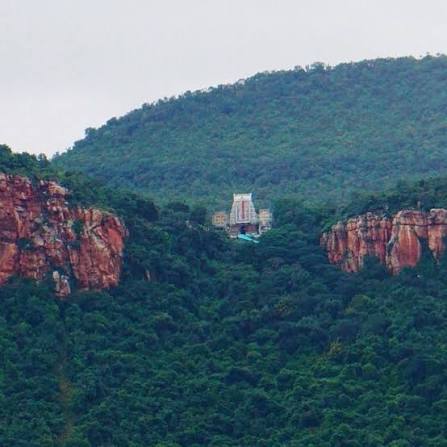 ತಿಮ್ಮಪ್ಪನ ಭಕ್ತರೇ ದಯವಿಟ್ಟು ಗಮನಿಸಿ –  ತಿರುಪತಿ ಬೆಟ್ಟದಲ್ಲಿ ಹಾರ್ನ್‌ ಮಾಡಿದ್ರೆ  ಬೀಳುತ್ತೆ ದಂಡ