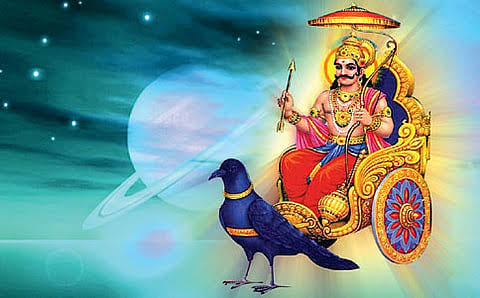ಜೀವನಕ್ಕೆ ಸಂತೋಷ-ಐಶ್ವರ್ಯ ಬೇಕಾ? – ಶನಿ ದೇವನ ಪ್ರೀತಿಪಾತ್ರವಾದ ಈ ಪ್ರಾಣಿಯ ಸೇವೆ ಮಾಡಿ