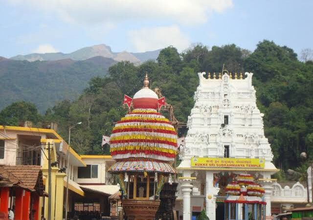 ಕುಕ್ಕೆ ಶ್ರೀ ಸುಬ್ರಹ್ಮಣ್ಯದಲ್ಲಿ ಸರ್ಪಸಂಸ್ಕಾರ, ಆಶ್ಲೇಷ ಬಲಿ, ಮತ್ತು ನಾಗಪ್ರತಿಷ್ಠೆ ರದ್ದು – ಇದ್ದಕ್ಕಿದ್ದಂತೆ ಸೇವೆ ರದ್ದು ಮಾಡಿದ್ದೇಕೆ ಗೊತ್ತಾ?