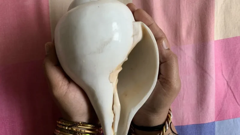 ಹಣದ ಸಮಸ್ಯೆ ಇದ್ಯಾ – ಗುರುವಾರ ಶಂಖದಿಂದ ಹೀಗೆ ಮಾಡಿ