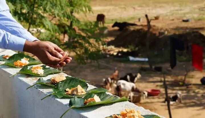 ಮಹಾಲಯ ಶುರು! ಪಿತೃಪಕ್ಷದ ಮಹತ್ವವೇನು? ಪೂರ್ವಜರಿಗೆ ಹೀಗೆ ಪೂಜೆ ಮಾಡಿ!