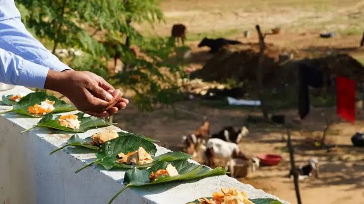 ಮಹಾಲಯ ಶುರು! ಪಿತೃಪಕ್ಷದ ಮಹತ್ವವೇನು? ಪೂರ್ವಜರಿಗೆ ಹೀಗೆ ಪೂಜೆ ಮಾಡಿ!