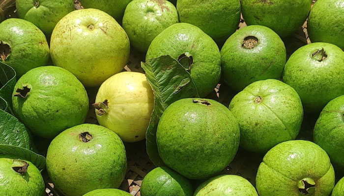 ಈ ಹಣ್ಣು ಸೇವಿಸಿದ್ರೆ ರೋಗ ನಿರೋಧಕ ಶಕ್ತಿ ಹೆಚ್ಚುತ್ತೆ! – ಒಂದು ಹಣ್ಣಿನಿಂದ ಎಷ್ಟೊಂದು ಆರೋಗ್ಯ ಲಾಭ!