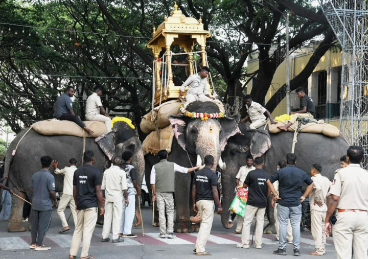 ಮಹೇಂದ್ರ ಔಟ್? ಧನಂಜಯನಿಗೆ ಅಂಬಾರಿ? – ಅಂಬಾರಿ ಹೊರುವ ಆನೆ ಯಾವುದು ಗೊತ್ತಾ?