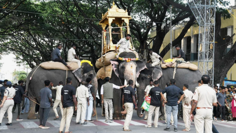 ಮಹೇಂದ್ರ ಔಟ್? ಧನಂಜಯನಿಗೆ ಅಂಬಾರಿ? – ಅಂಬಾರಿ ಹೊರುವ ಆನೆ ಯಾವುದು ಗೊತ್ತಾ?