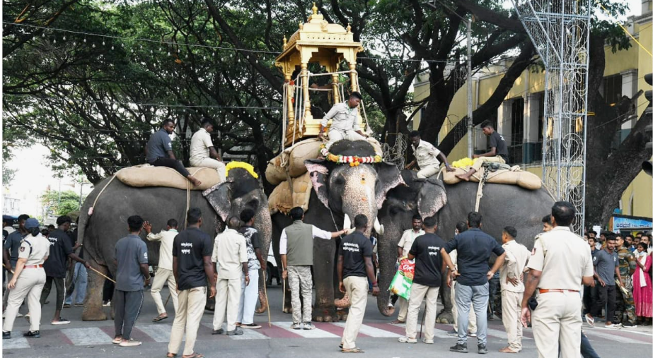ಮಹೇಂದ್ರ ಔಟ್? ಧನಂಜಯನಿಗೆ ಅಂಬಾರಿ? – ಅಂಬಾರಿ ಹೊರುವ ಆನೆ ಯಾವುದು ಗೊತ್ತಾ?