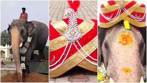 ಅಭಿಮನ್ಯುಗೆ ರಾಜಮರ್ಯಾದೆ! ಮೈಸೂರು ಪೇಟ ಹಾಕಿ ಅದ್ಧೂರಿ ಸ್ವಾಗತ!