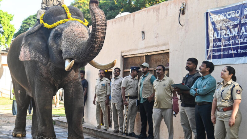 ಅಂಬಾರಿ ಹೊರುವ ಆನೆ ಯಾರು ಅನ್ನೋ ಕುತೂಹಲಕ್ಕೆ ತೆರೆ –  ಚಿನ್ನದ ಅಂಬಾರಿ  ಪ್ರಶಾಂತ್  ಹೆಗಲಿಗೆ